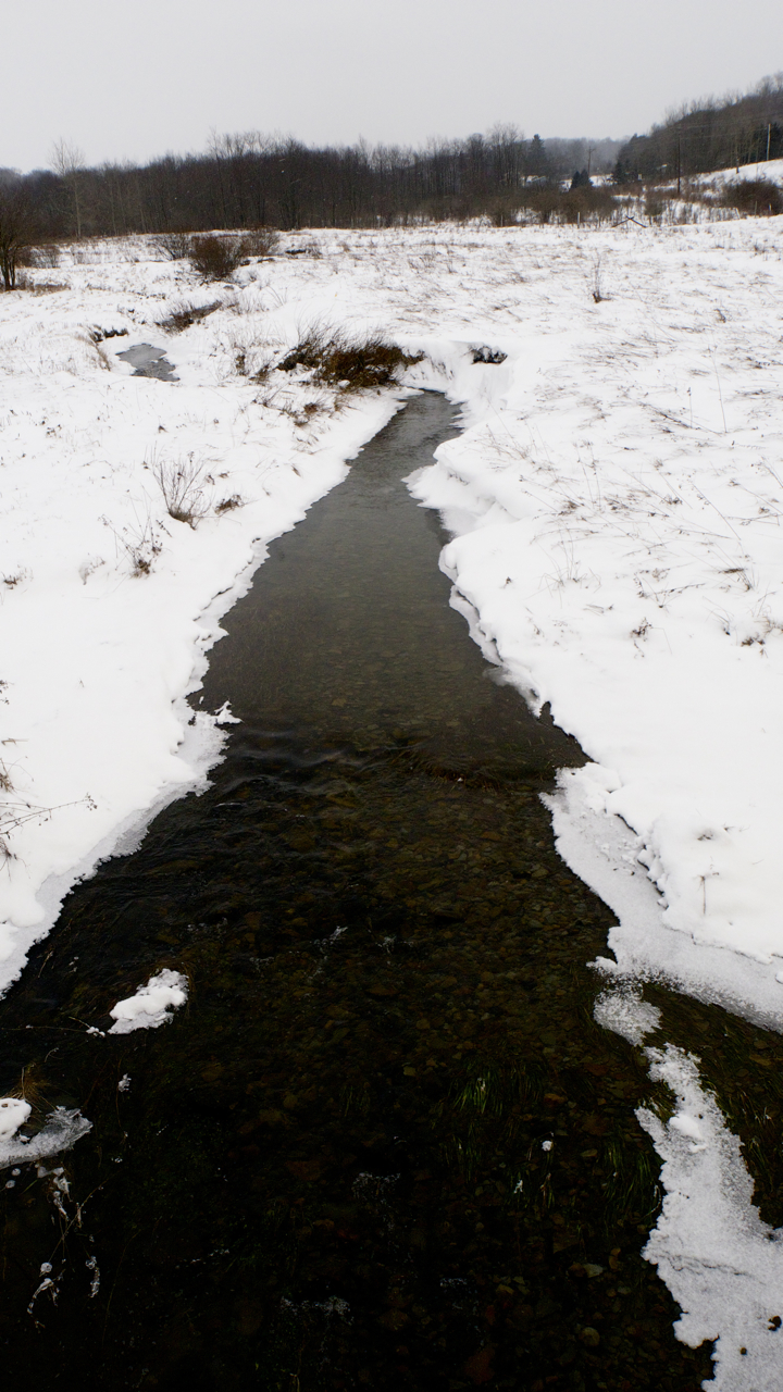 Headwaters of Ludington Run of Rt.49 and Empson Road. © J.B.Pribanic