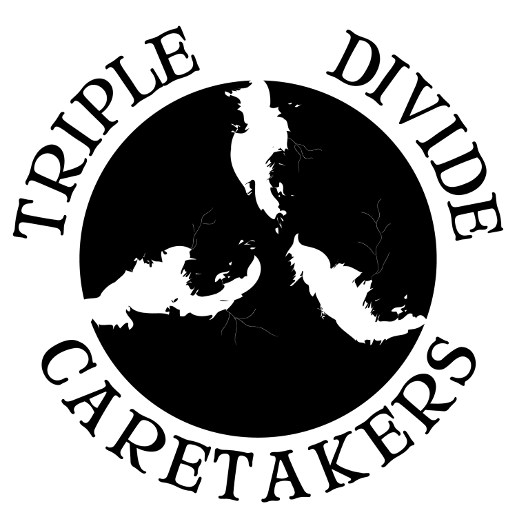 triple_divide_caretakers_logo