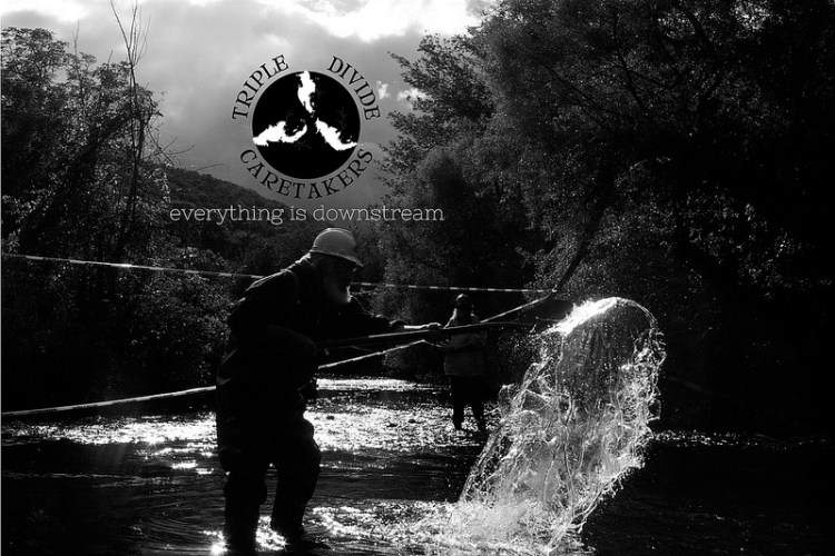 8450137788_ccd1631407_c